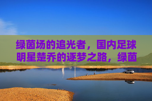 绿茵场的追光者,国内足球明星楚乔的逐梦之路,绿茵追光者,楚乔逐梦路