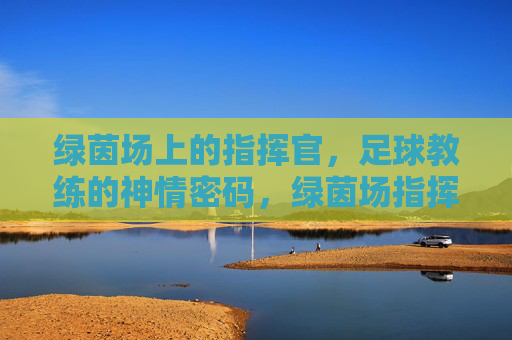 绿茵场上的指挥官，足球教练的神情密码，绿茵场指挥官的神情密码