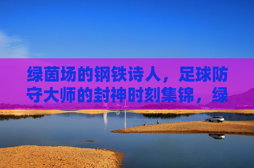 绿茵场的钢铁诗人,足球防守大师的封神时刻集锦,绿茵场钢铁诗人,足球防守大师封神时刻