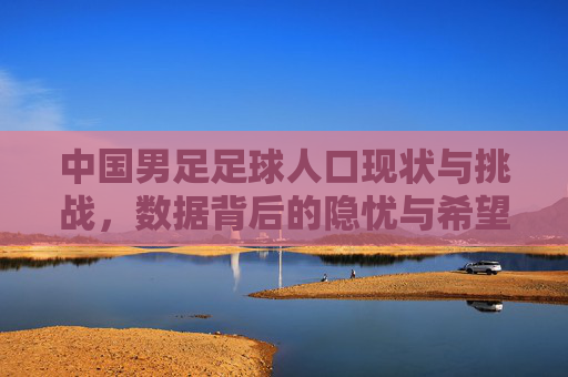 中国男足足球人口现状与挑战,数据背后的隐忧与希望