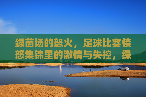 绿茵场的怒火,足球比赛愤怒集锦里的激情与失控,绿茵场的怒火,足球激情与失控的瞬间
