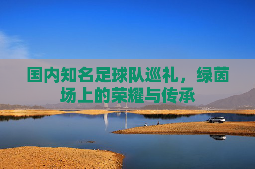 国内知名足球队巡礼,绿茵场上的荣耀与传承