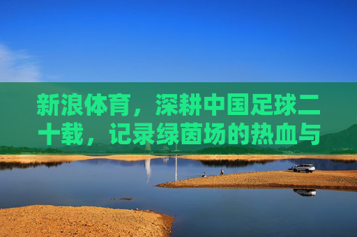 新浪体育，深耕中国足球二十载，记录绿茵场的热血与遗憾，新浪体育深耕中国足球二十载，记录绿茵热血与遗憾