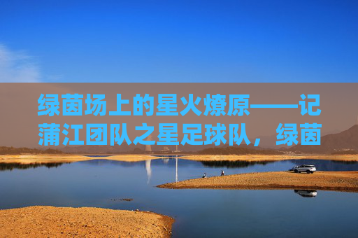 绿茵场上的星火燎原——记蒲江团队之星足球队，绿茵星火燎原，蒲江团队之星足球队