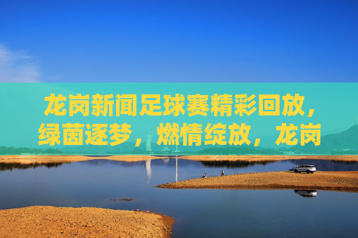 龙岗新闻足球赛精彩回放,绿茵逐梦,燃情绽放,龙岗足球赛精彩回放,绿茵逐梦燃情绽放