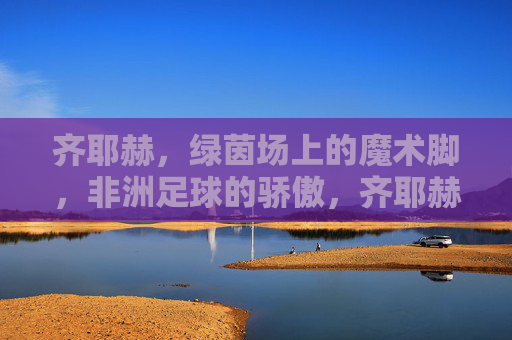 齐耶赫,绿茵场上的魔术脚,非洲足球的骄傲,齐耶赫,绿茵魔术脚,非洲足球骄傲