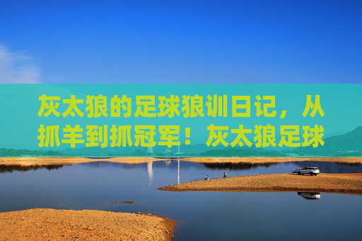 灰太狼的足球狼训日记，从抓羊到抓冠军！灰太狼足球狼训日记，从抓羊到夺冠！