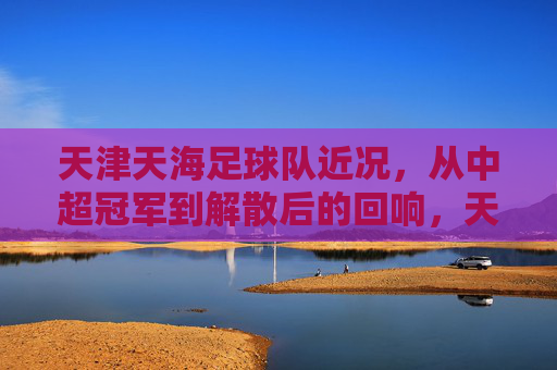 天津天海足球队近况,从中超冠军到解散后的回响,天津天海,从中超冠军到解散后的足坛回响