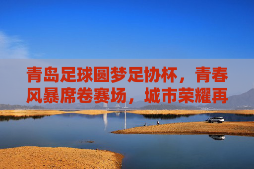 青岛足球圆梦足协杯，青春风暴席卷赛场，城市荣耀再添新章，青岛足球足协杯圆梦，青春风暴书写城市荣耀