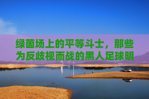 绿茵场上的平等斗士,那些为反歧视而战的黑人足球明星,绿茵场上的平等斗士,黑人足球明星反歧视战