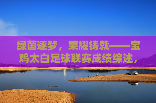 绿茵逐梦，荣耀铸就——宝鸡太白足球联赛成绩综述，绿茵逐梦，荣耀铸就——宝鸡太白足球联赛成绩综述