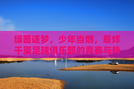 绿茵逐梦,少年当燃,易烊千玺足球俱乐部的青春与热爱,易烊千玺足球俱乐部,绿茵逐梦,少年当燃