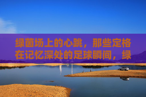 绿茵场上的心跳,那些定格在记忆深处的足球瞬间,绿茵心跳,记忆深处的足球瞬间
