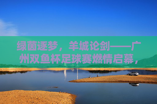 绿茵逐梦，羊城论剑——广州双鱼杯足球赛燃情启幕，绿茵逐梦羊城，广州双鱼杯足球赛燃情启幕