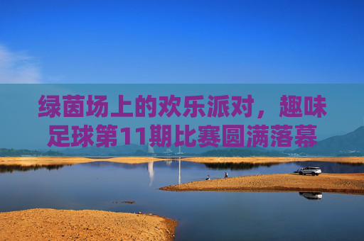 绿茵场上的欢乐派对，趣味足球第11期比赛圆满落幕，绿茵场上的欢乐派对，趣味足球第11期比赛圆满落幕