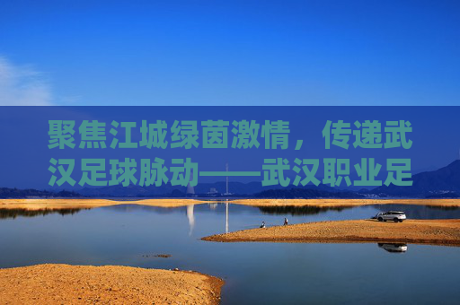 聚焦江城绿茵激情,传递武汉足球脉动——武汉职业足球新闻网,一座城市的足球记忆与梦想,江城绿茵脉动,武汉足球的记忆与梦想