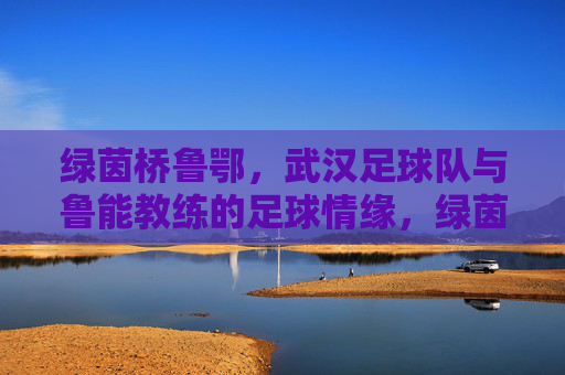 绿茵桥鲁鄂,武汉足球队与鲁能教练的足球情缘,绿茵桥鲁鄂,武汉足球队与鲁能教练的足球情缘