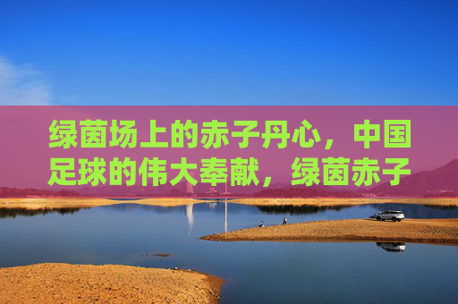 绿茵场上的赤子丹心,中国足球的伟大奉献,绿茵赤子丹心,中国足球奉献