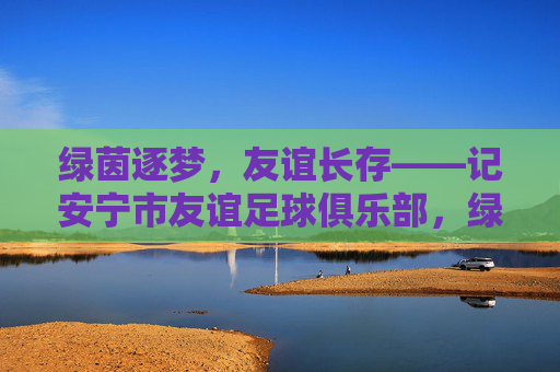 绿茵逐梦,友谊长存——记安宁市友谊足球俱乐部,绿茵逐梦,友谊长存——安宁市友谊足球俱乐部