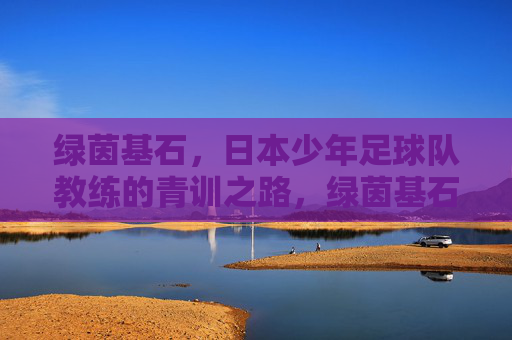 绿茵基石,日本少年足球队教练的青训之路,绿茵基石,日本少年足球教练的青训之路