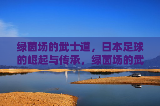 绿茵场的武士道，日本足球的崛起与传承，绿茵场的武士道，日本足球的崛起与传承