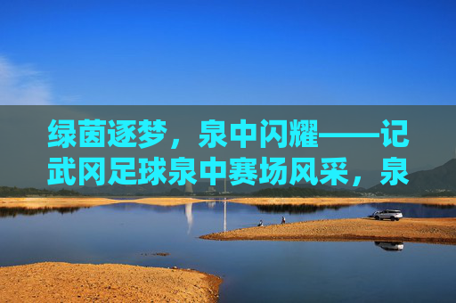 绿茵逐梦，泉中闪耀——记武冈足球泉中赛场风采，泉中逐梦绿茵，武冈足球闪耀