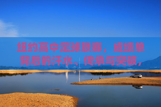 纽约高中足球联赛，成绩单背后的汗水、传承与突破，纽约高中足球联赛，汗水、传承与突破的成绩单