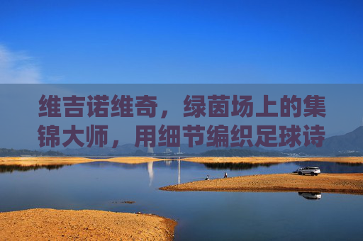 维吉诺维奇，绿茵场上的集锦大师，用细节编织足球诗篇，细节编织诗篇，维吉诺维奇的绿茵集锦