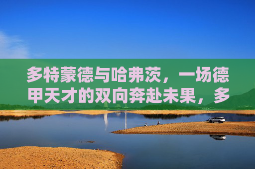 多特蒙德与哈弗茨，一场德甲天才的双向奔赴未果，多特蒙德与哈弗茨，德甲天才的双向奔赴未果