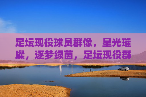 足坛现役球员群像，星光璀璨，逐梦绿茵，足坛现役群像，星光逐梦绿茵