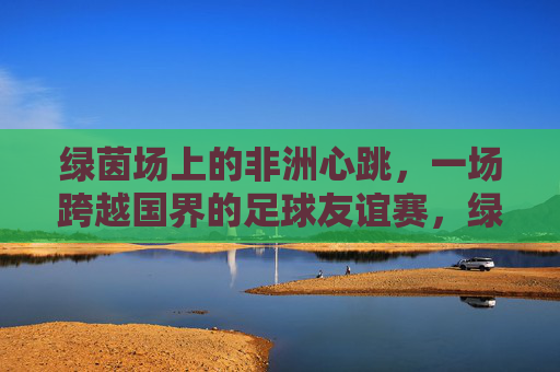 绿茵场上的非洲心跳,一场跨越国界的足球友谊赛,绿茵场上的非洲心跳,跨越国界的足球友谊