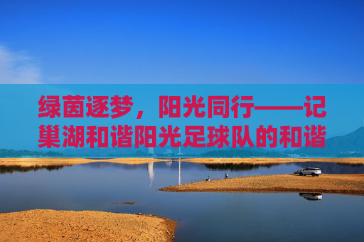 绿茵逐梦，阳光同行——记巢湖和谐阳光足球队的和谐与热爱，巢湖和谐阳光足球队，绿茵逐梦，热爱同行