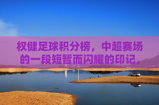 权健足球积分榜,中超赛场的一段短暂而闪耀的印记,权健足球,中超赛场的短暂闪耀印记
