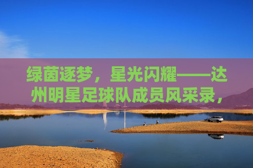 绿茵逐梦，星光闪耀——达州明星足球队成员风采录，绿茵逐梦星光耀，达州明星球员风采