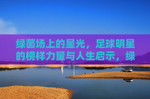 绿茵场上的星光,足球明星的榜样力量与人生启示,绿茵星光,足球明星的榜样力量与人生启示