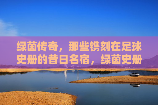 绿茵传奇,那些镌刻在足球史册的昔日名宿,绿茵史册,镌刻的传奇名宿