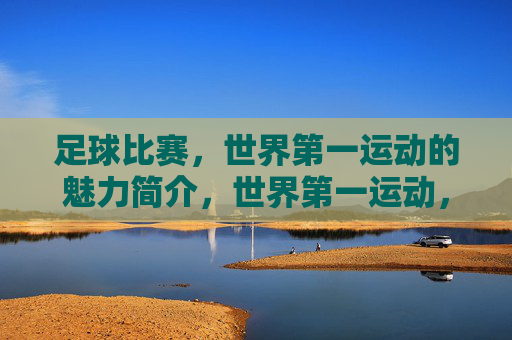 足球比赛，世界第一运动的魅力简介，世界第一运动，足球的魅力解码