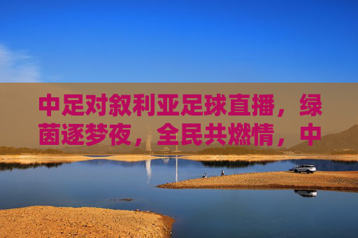 中足对叙利亚足球直播,绿茵逐梦夜,全民共燃情,中叙对决直播夜,绿茵逐梦全民燃情