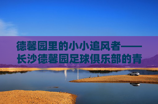 德馨园里的小小追风者——长沙德馨园足球俱乐部的青春足迹,德馨园小小追风者,足球青春的足迹