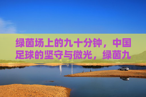 绿茵场上的九十分钟，中国足球的坚守与微光，绿茵九十分钟，中国足球的坚守与微光