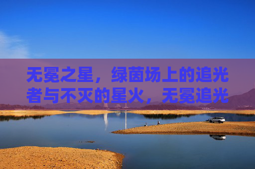 无冕之星,绿茵场上的追光者与不灭的星火,无冕追光,绿茵星火