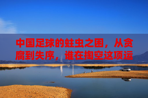 中国足球的蛀虫之困,从贪腐到失序,谁在掏空这项运动的根基?中国足球蛀虫之困,贪腐失序掏空运动根基