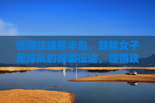 铿锵玫瑰照半岛，朝鲜女子足球队的绿茵征途，铿锵玫瑰耀半岛，朝鲜女足绿茵征途