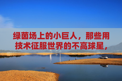 绿茵场上的小巨人,那些用技术征服世界的不高球星,技术小巨人,绿茵场上的不高征服者