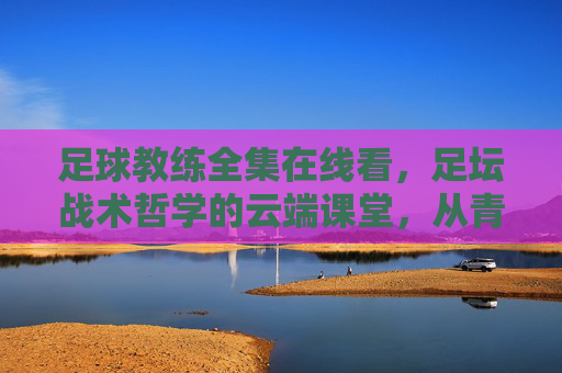 足球教练全集在线看,足坛战术哲学的云端课堂,从青训到巅峰的执教智慧,足球教练全集,云端课堂里的青训到巅峰战术哲学