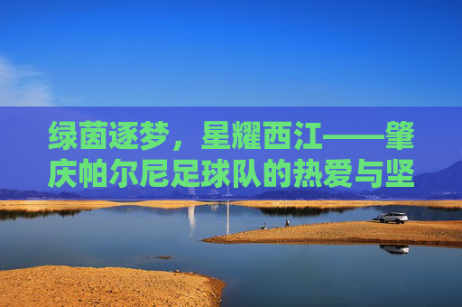 绿茵逐梦，星耀西江——肇庆帕尔尼足球队的热爱与坚守，绿茵逐梦，星耀西江——肇庆帕尔尼足球队的热爱与坚守