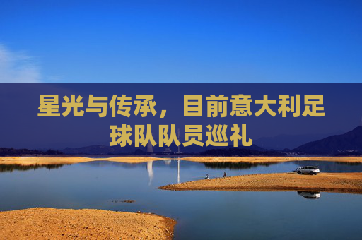 星光与传承,目前意大利足球队队员巡礼