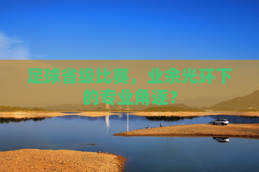 足球省级比赛,业余光环下的专业角逐?