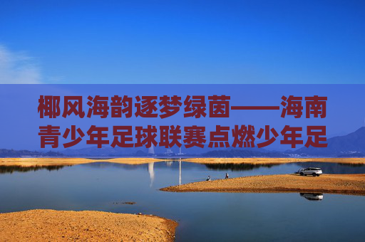 椰风海韵逐梦绿茵——海南青少年足球联赛点燃少年足球激情，椰风海韵逐梦绿茵——海南青少年足球联赛燃少年激情