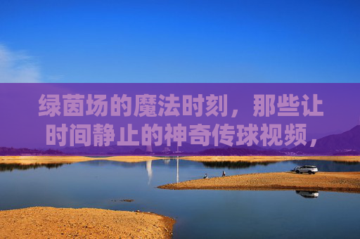 绿茵场的魔法时刻，那些让时间静止的神奇传球视频，绿茵场魔法传球，时间静止的瞬间